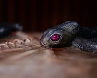 Image 17 of 13” IPad Pro Hocus Pocus keyboard cover