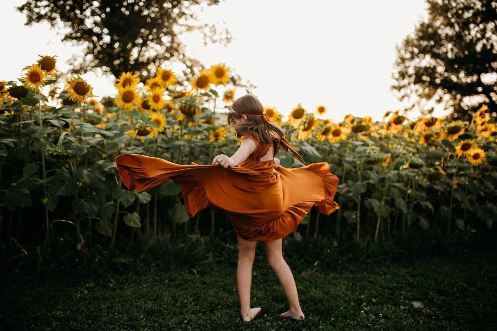 Image of sunflower / zinnia field minis ! 