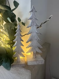 SET OF TWO XMAS TREES 