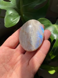 Image 4 of Moonstone Palm Crystal (5)