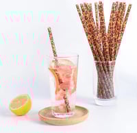Image 2 of LEOPARD STRAWS