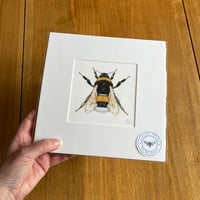 Colour Bumblebee - Giclee Print #2