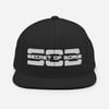 LOGO HAT