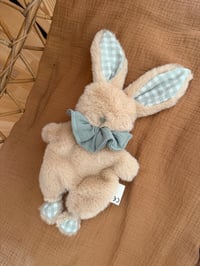 Image 3 of DOUDOU LAPINOU CORPS MOU VICHY VERT SAUGE