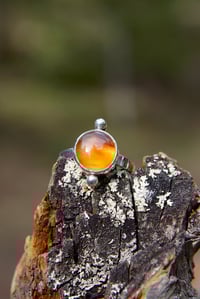 Image 1 of Montana Agate Ring | Size 8.5
