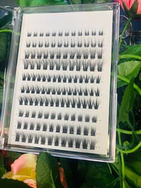 Image 1 of Cluster Lashes
