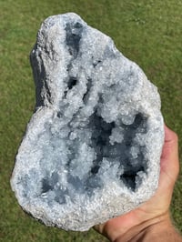 Image 14 of Celestite Geode #1801