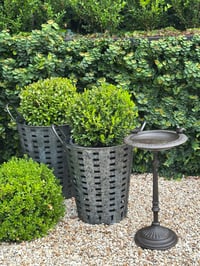 Image 2 of Cast Iron Bird Bath Petite