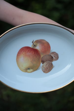 Image of Schale, mit Goldrand und Obst-Bemalung