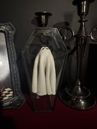 Image 3 of Glass Coffin Floating Ghost 