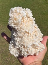 Image 4 of Aragonite On White Calcite Specimen #1243