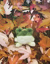 Image 2 of Sprout