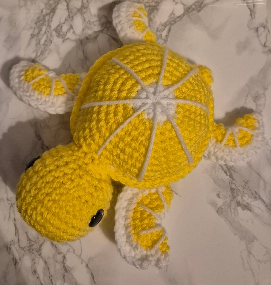 Image of lemon turtle 