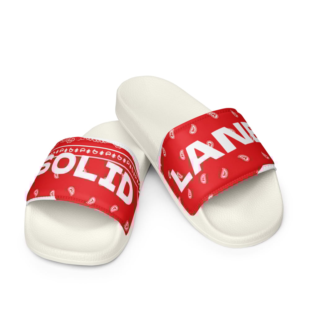 Image of Red Paisley Slides