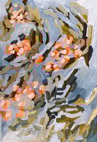 Image 1 of flowering gum | 