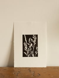 Image 1 of Black and White Grass Monoprint A4 *Seconds* 