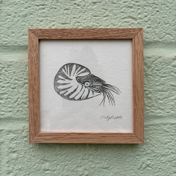 Image of £50 originals - Nautilus, pointillism