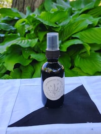 Image 1 of Red Clover Hydrosol