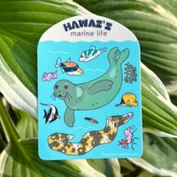 Image 3 of Hawai`i Marine Life 3” Sticker