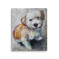 Image 4 of Maltese