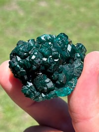 Image 5 of Dioptase Specimen #2539