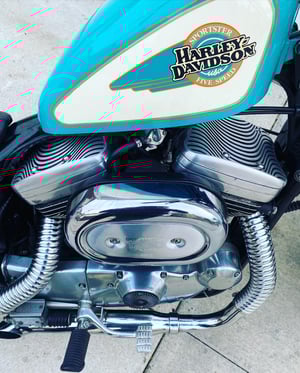 “Aqua” Arrowhead rocker covers 