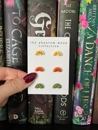 Citrus Stud Pack