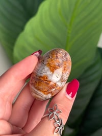 Image 5 of MEXICAN LACE AGATE SHIVA K