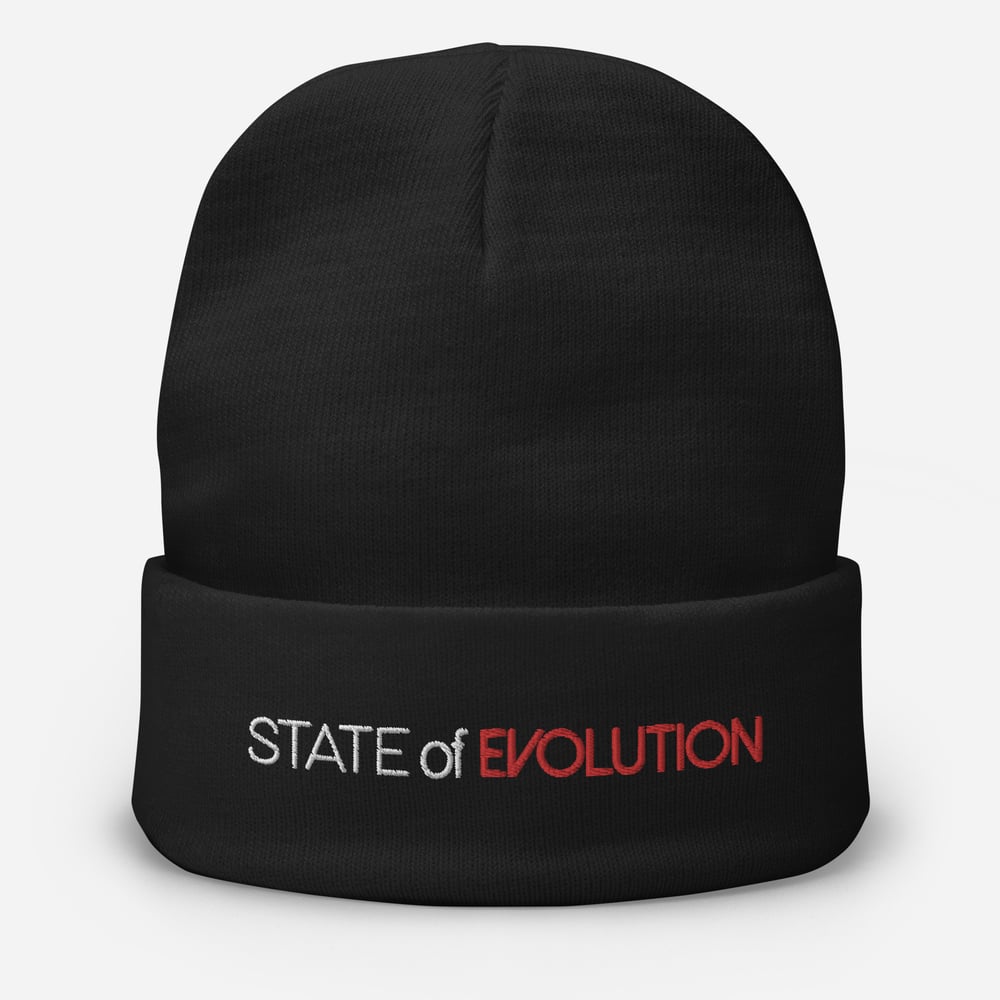Image of State of Evolution Embroidered Beanie