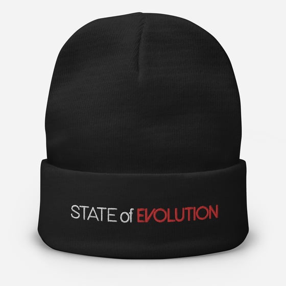Image of State of Evolution Embroidered Beanie