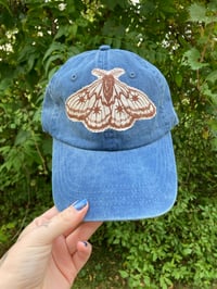 Image 5 of Patchy Caps