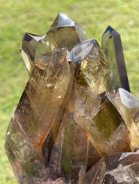 Image 16 of Smoky Citrine Points Cluster #1876