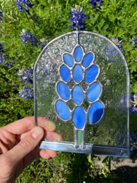 Image 4 of Ellis County Bluebonnet