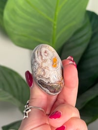 Image 4 of MEXICAN LACE AGATE SHIVA I