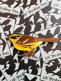 Image 7 of UK Birding Magnets - Choose a species: