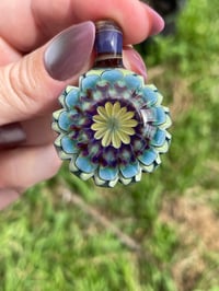 Image 6 of Mountain Daisies