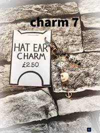 Image 16 of Ed's hats and charms