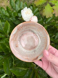Image 2 of Mushroom Bowl