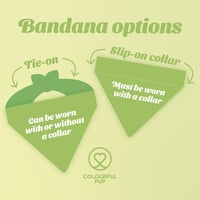 Image 8 of Hearts Personalised Valentines Handmade Pet Bandana