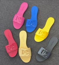 Image 1 of DG slides