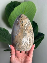 Image 1 of SEA JASPER FREEFORM -MADAGASCAR- F