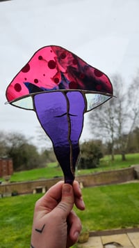 Image 2 of Mushroom bum 9