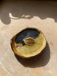 Image 2 of Grounding dish 54