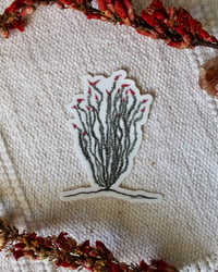 Image 1 of Ocotillo Sticker