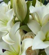 Image 2 of Off-White Bouquet
