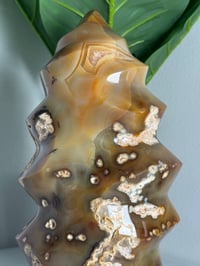 Image 5 of XXL MOODY CARNELIAN FLAME -MADAGASCAR-