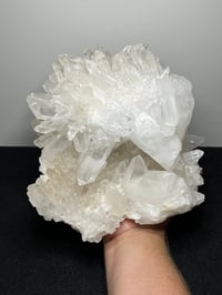 Image 12 of Clear Quartz Points Cluster Statement Piece | Brazil #2936