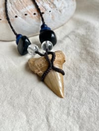 Image 1 of Macrame pendant with shark tooth fossil 