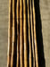 Image of Close Node rattan sticks 