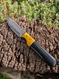 Image 2 of COMPANION #1